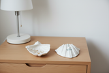 Shell Tray Scallop – comodino betulla