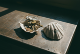Shell Tray Scallop – industrial, fronte + retro