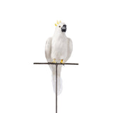ARTIFICIAL BIRDS Parrot / Large