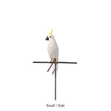 ARTIFICIAL BIRDS Parrot / Small
