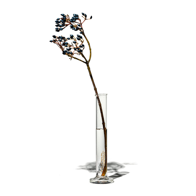 SINGLE FLOWER VASE / 100ml