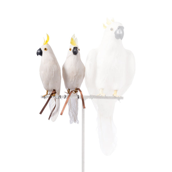 ARTIFICIAL BIRDS Parrot / Small
